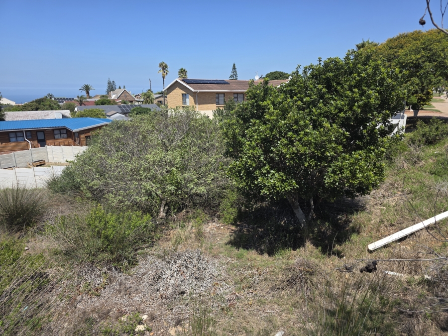0 Bedroom Property for Sale in Dana Bay Western Cape